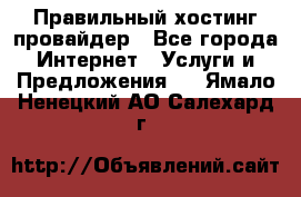 Правильный хостинг провайдер - Все города Интернет » Услуги и Предложения   . Ямало-Ненецкий АО,Салехард г.